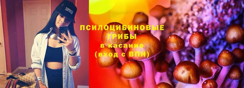 наркошоп  Заволжск  Псилоцибиновые грибы MAGIC MUSHROOMS 